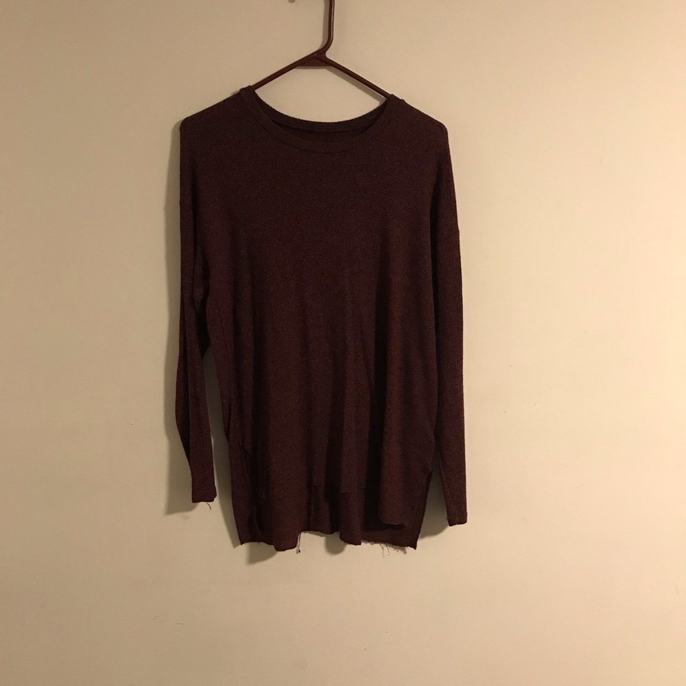 Plush American Eagle Sweater
